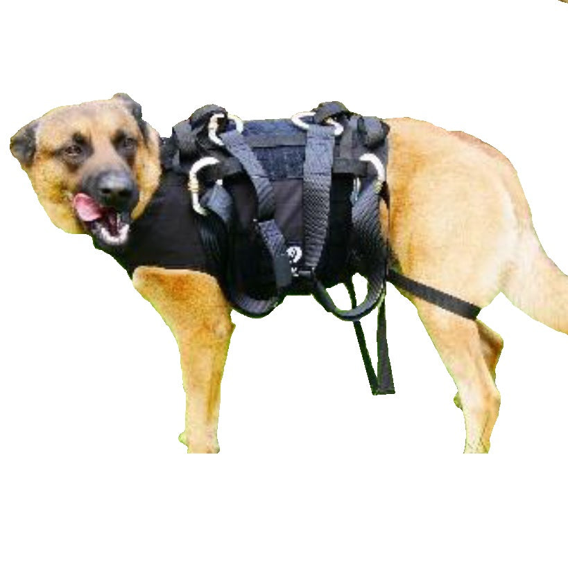 Kogelwerend vest hond tactisch zwart hondenharnas Sioen