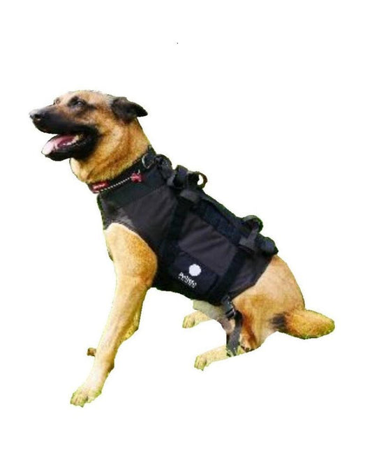 Hond Harnas Geen Pull Reflecterende Ademend Verste Hond Vest Pet Wandelen Harness Voor Kleine Medium Grote Honden Pitbull Hond Harnas Geen Pull Reflecterende Ademend Verste Hond Vest Pet Wandelen Harness Voor Kleine Medium Grote Honden Pitbull